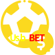 Aposte em esportes do mundo todo no Usb Bet!